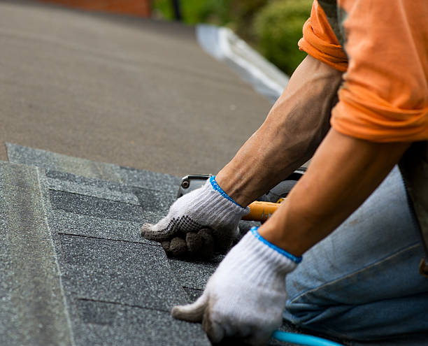 Roof Gutter Cleaning in Mayfield, KY