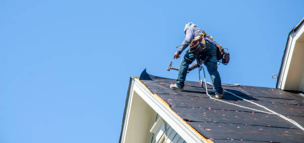 Best Roof Gutter Cleaning  in Mayfield, KY